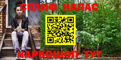 гашик Донецк
