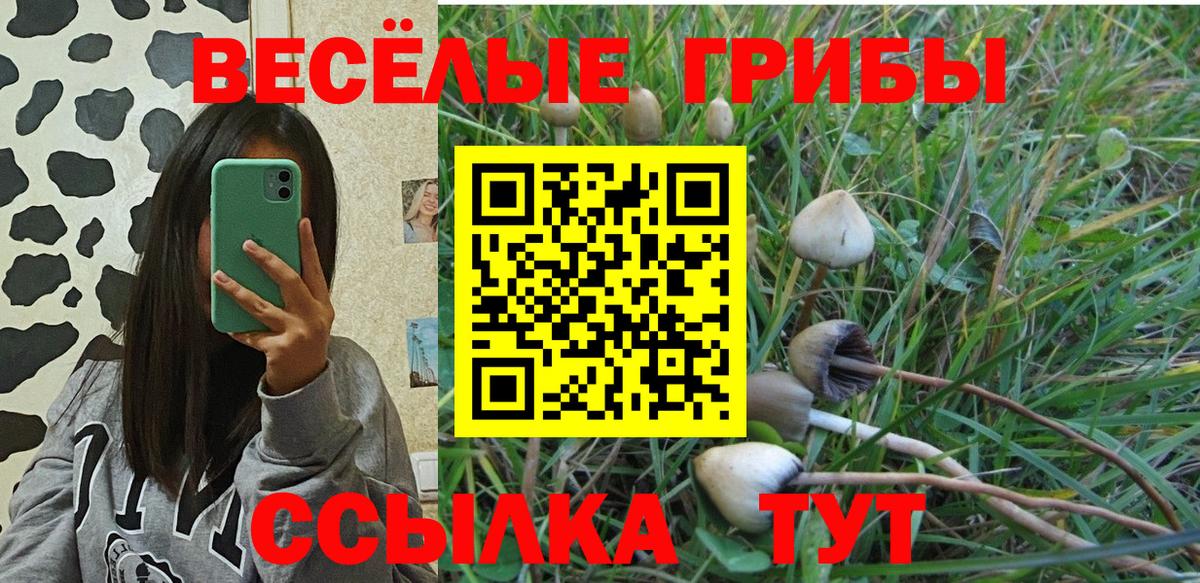 Дальнереченск  Галлюциногенные грибы Psilocybe  Вход с VPN 