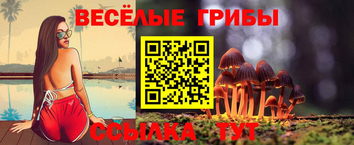 Псилоцибиновые грибы мухоморы Дальнереченск